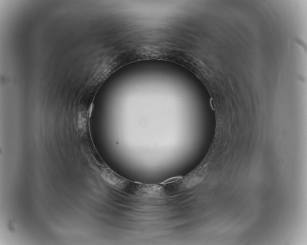 X0000097290576200802151418