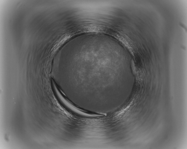 X0000097290577200802151417