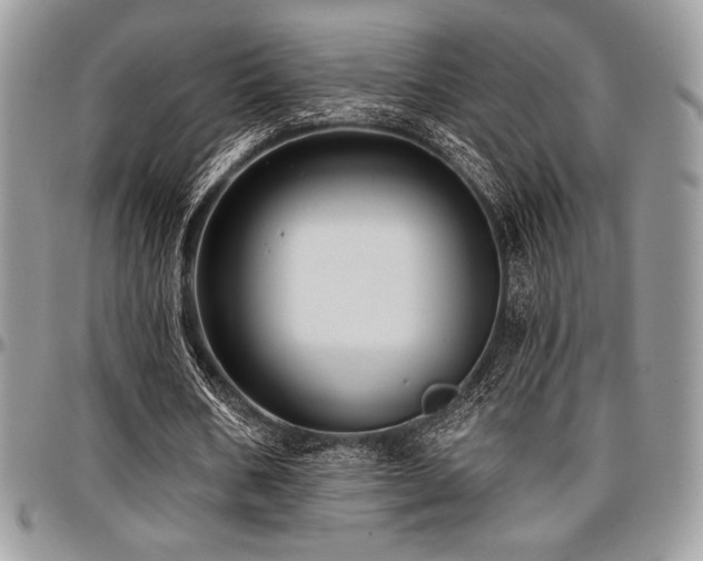 X0000097290578200802151417