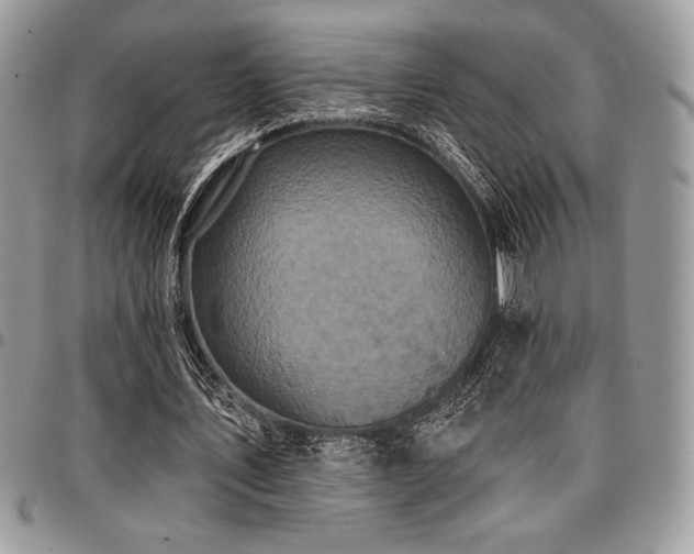 X0000097290579200802151417