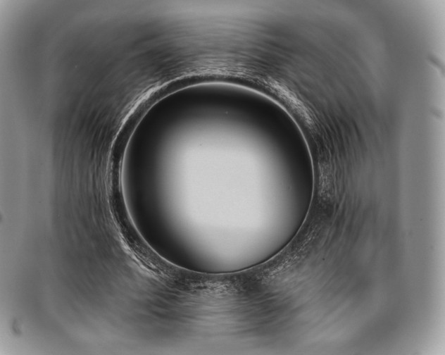X0000097290580200802151417