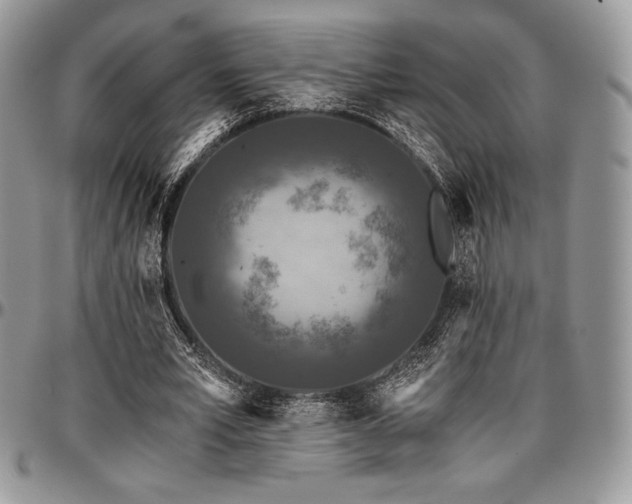 X0000097290581200802151417