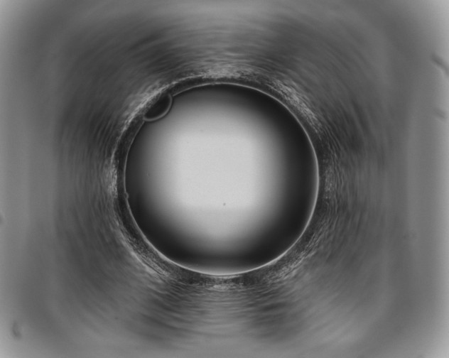 X0000097290584200802151417