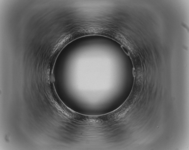 X0000097290585200802151417