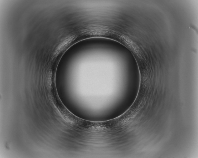 X0000097290586200802151417