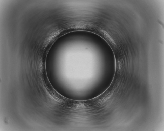 X0000097290588200802151417