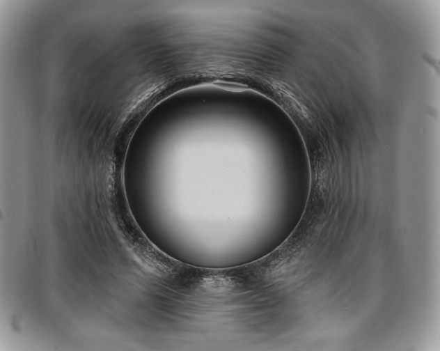 X0000097290591200802151417