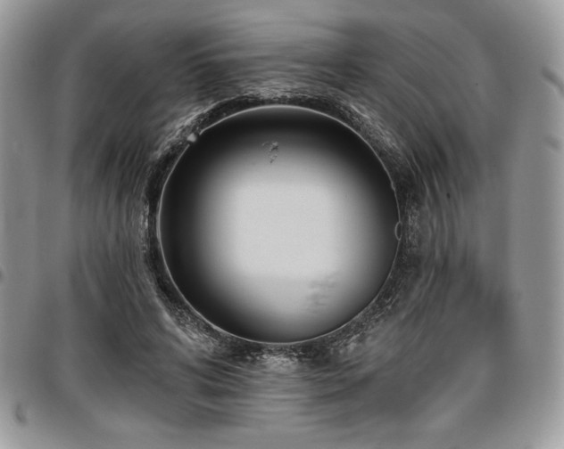 X0000097290592200802151417