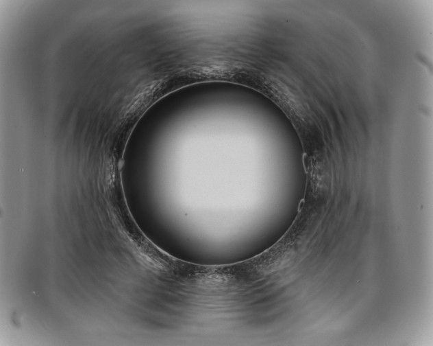 X0000097290593200802151417