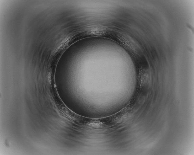 X0000097290595200802151417