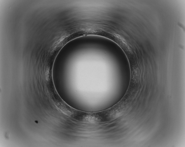 X0000097290596200802151417