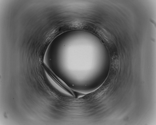 X0000097290597200802151417