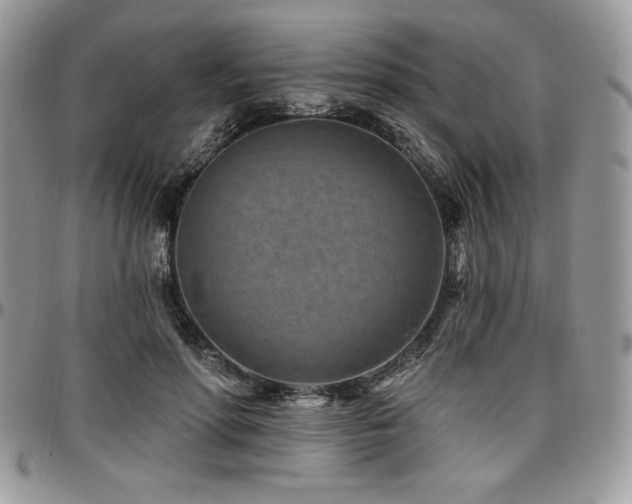 X0000097290598200802151417