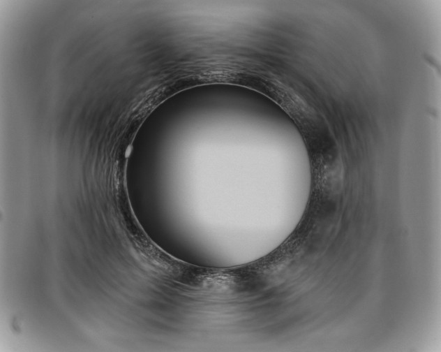 X0000097290599200802151417