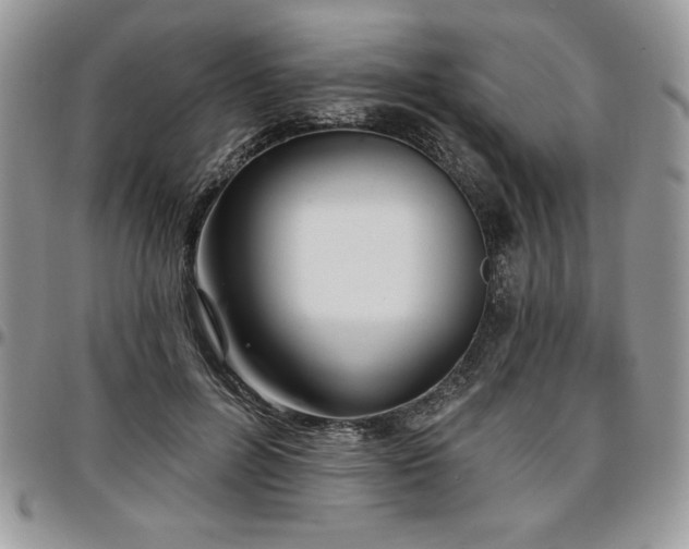 X0000097290600200802151417