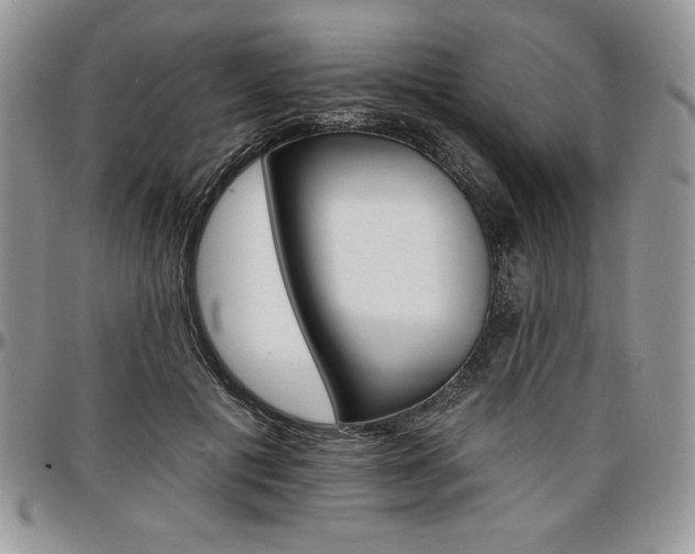 X0000097290601200802151417