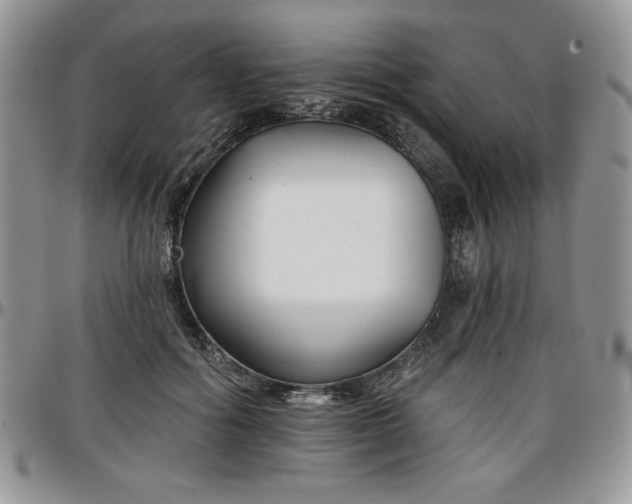 X0000097290602200802151417