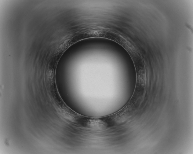 X0000097290605200802151417