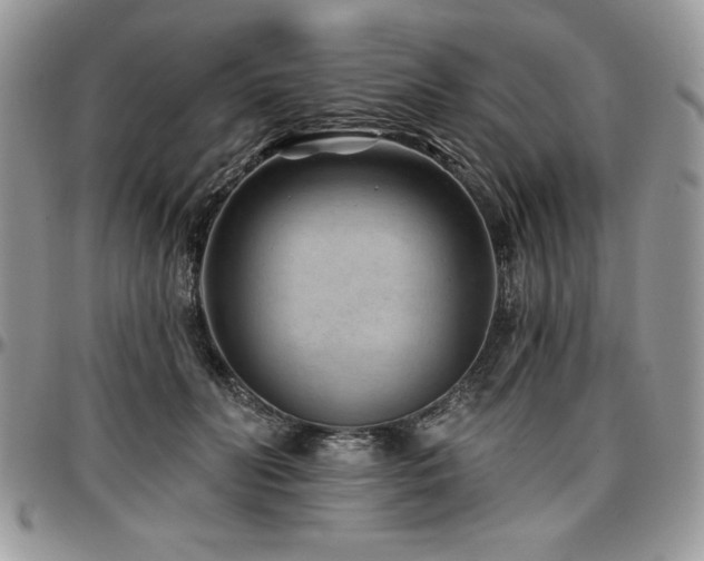 X0000097290606200802151417