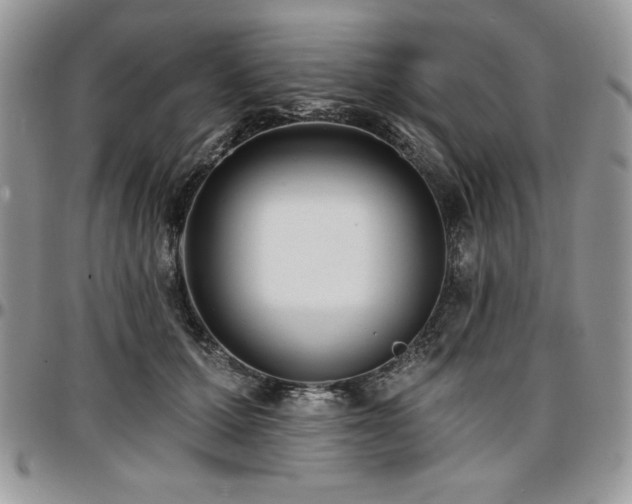X0000097290607200802151417