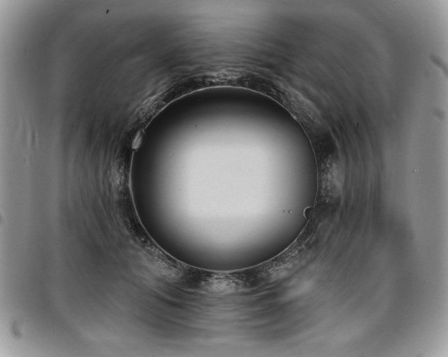X0000097290608200802151417