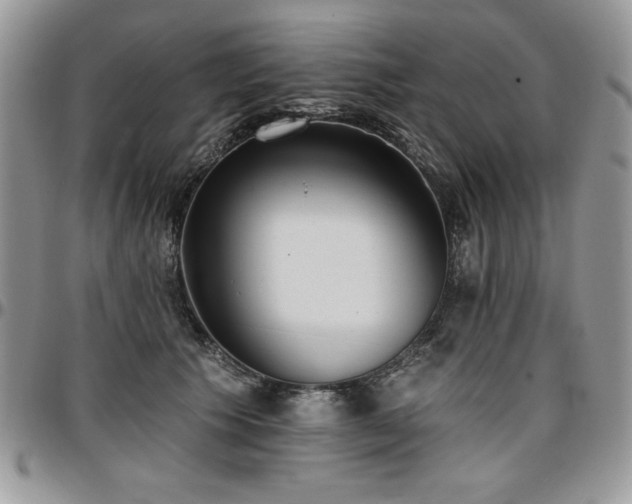 X0000097290609200802151416