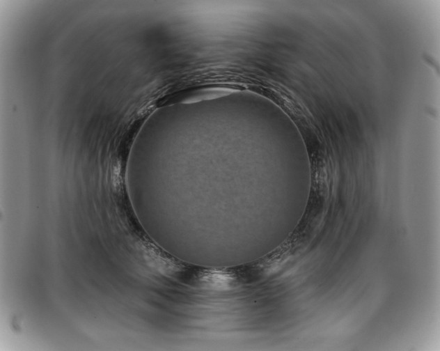 X0000097290610200802151416