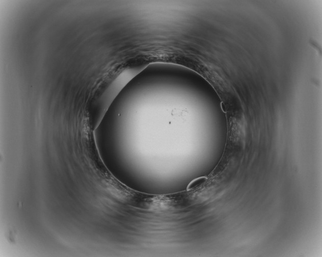 X0000097290612200802151416