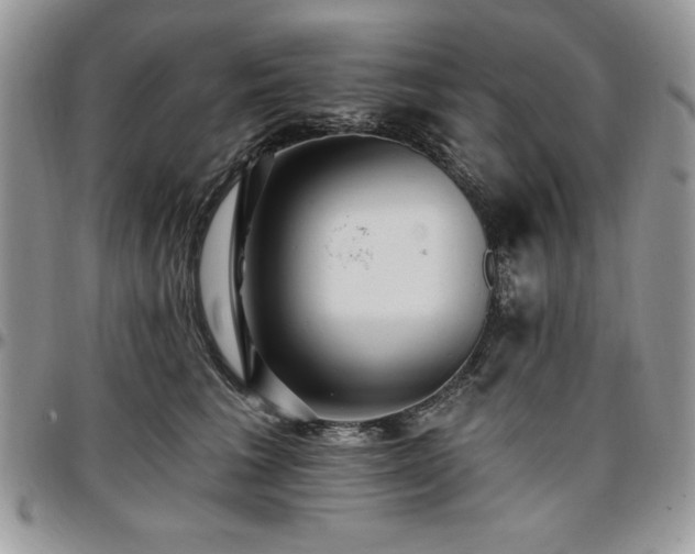 X0000097290613200802151416