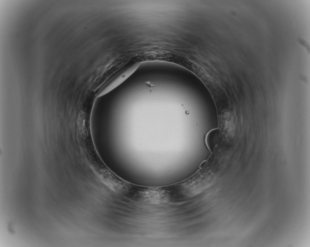 X0000097290615200802151416