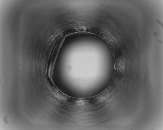 X0000097290616200802151416