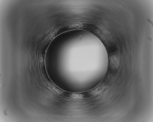 X0000097290617200802151416