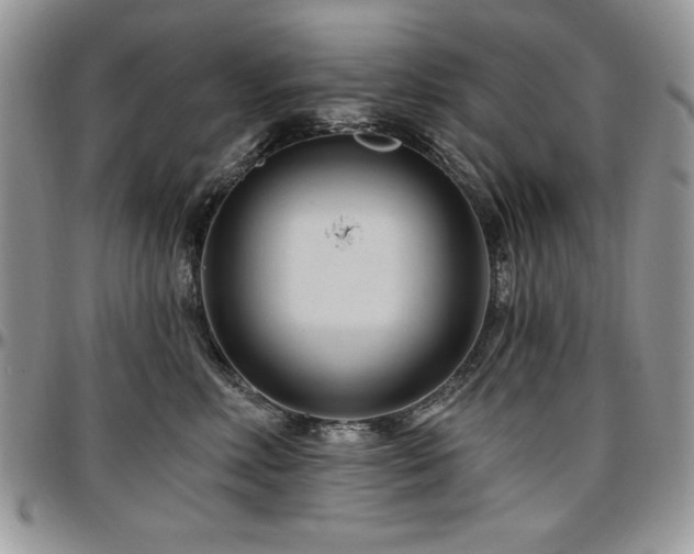 X0000097290618200802151416