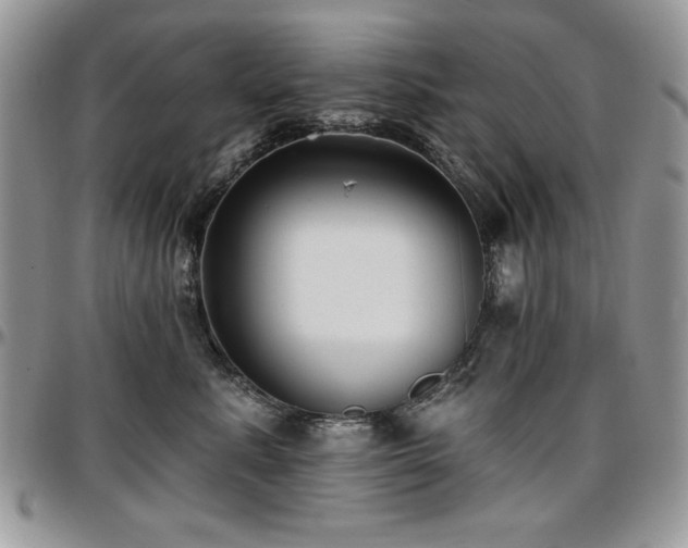 X0000097290619200802151416