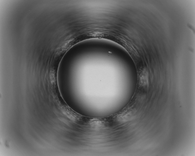 X0000097290620200802151416