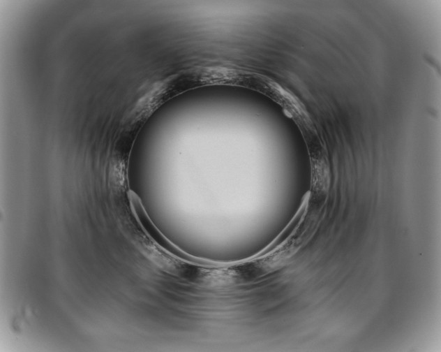 X0000097290621200802151416