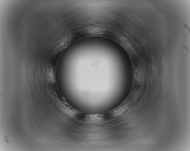 X0000097290622200802151416