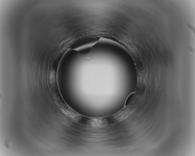 X0000097290623200802151416