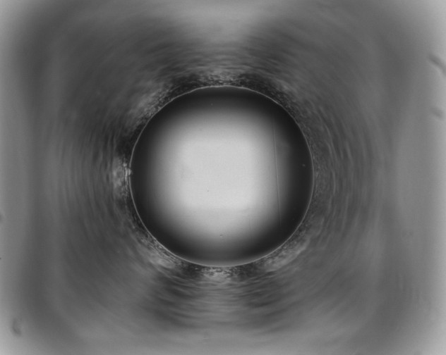 X0000097290624200802151416