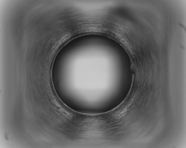 X0000097290625200802151415