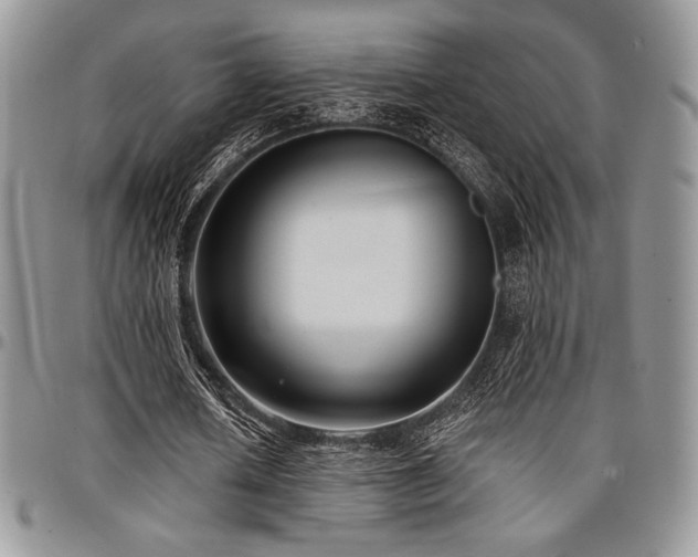 X0000097290626200802151415