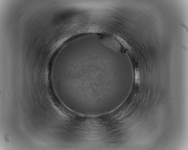 X0000097290627200802151415