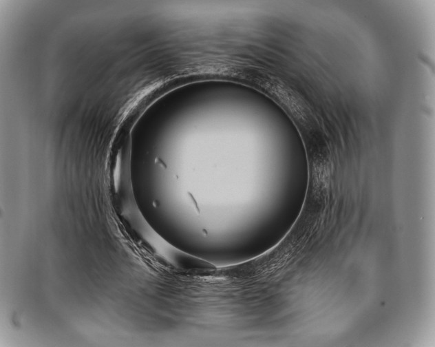 X0000097290628200802151415