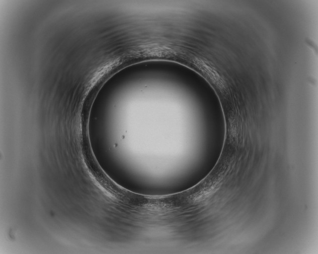 X0000097290630200802151416