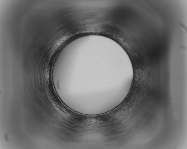 X0000097290632200802151416