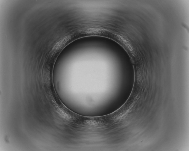 X0000097290633200802151416