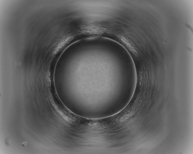 X0000097290634200802151416