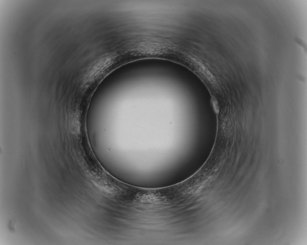 X0000097290635200802151416