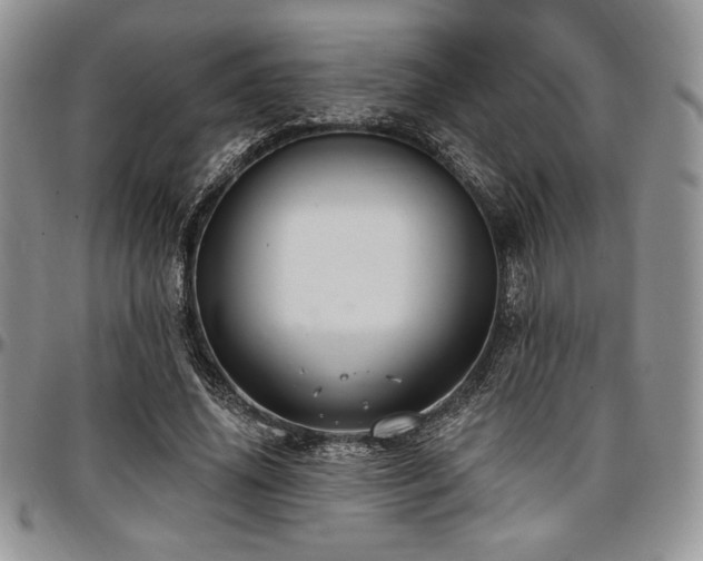 X0000097290636200802151416