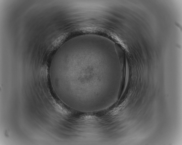 X0000097290637200802151416